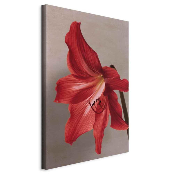 Quadro - Red Flower (1 Part) Vertical
