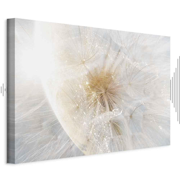 Quadro - Dandelion in the Sun (1 Part) Wide