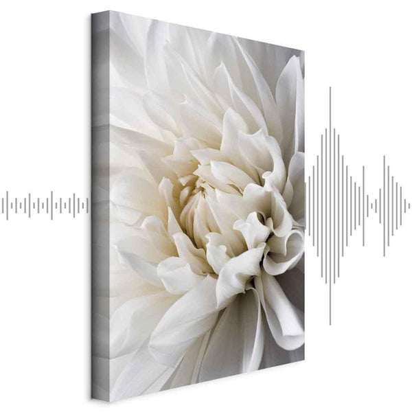 Quadro - White Dahlia