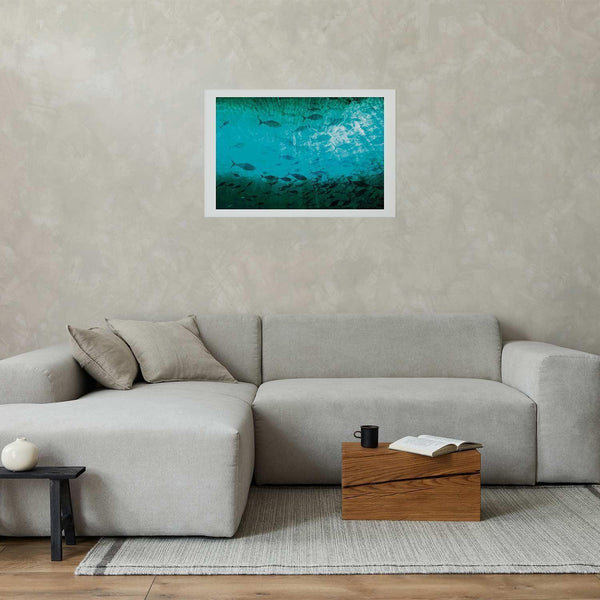 Poster - Group of Dark Fish