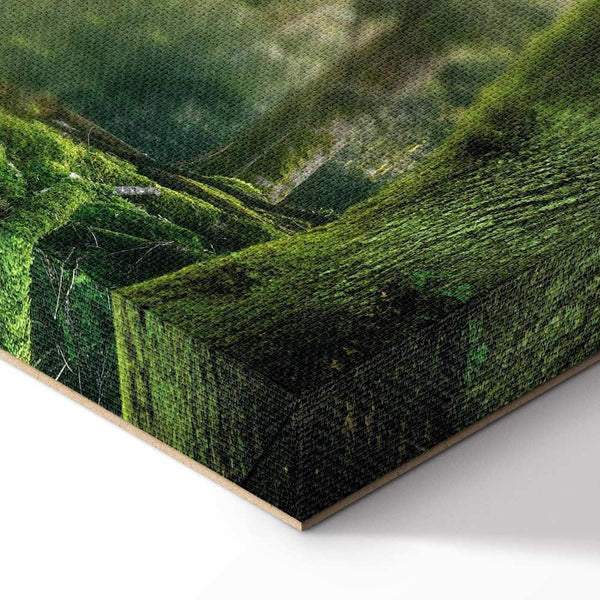 Quadro - The Beauty of the Forest