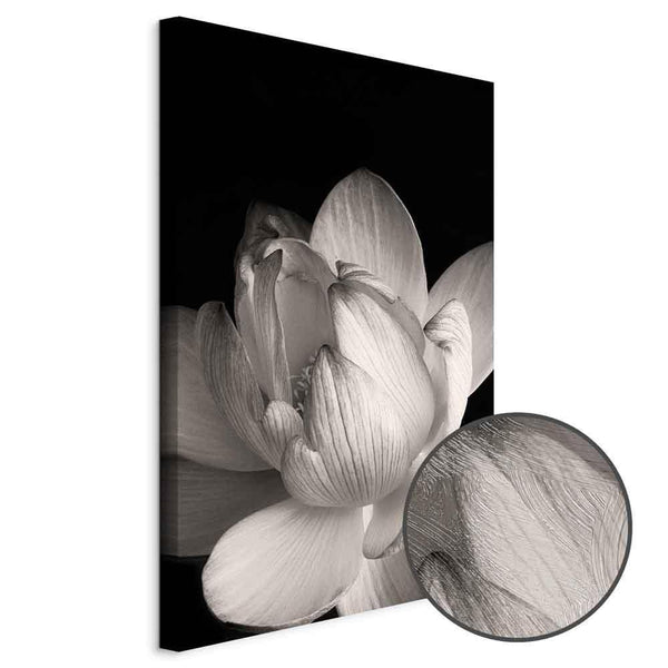 Quadro - Delicacy of Petals in Nature (1-part) - Flower in Black and White