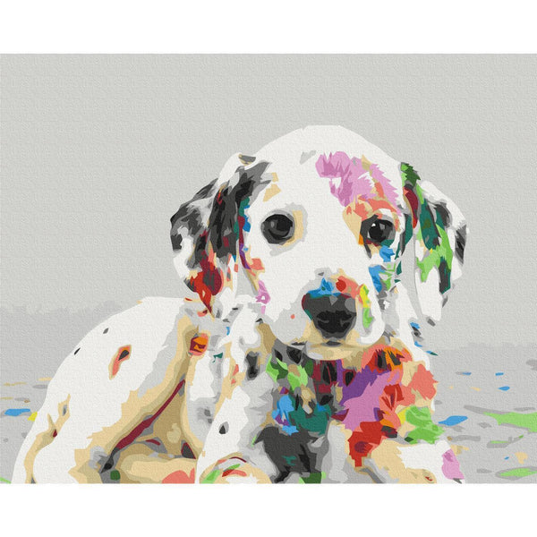 Quadro fai da te - Colourful Puppy