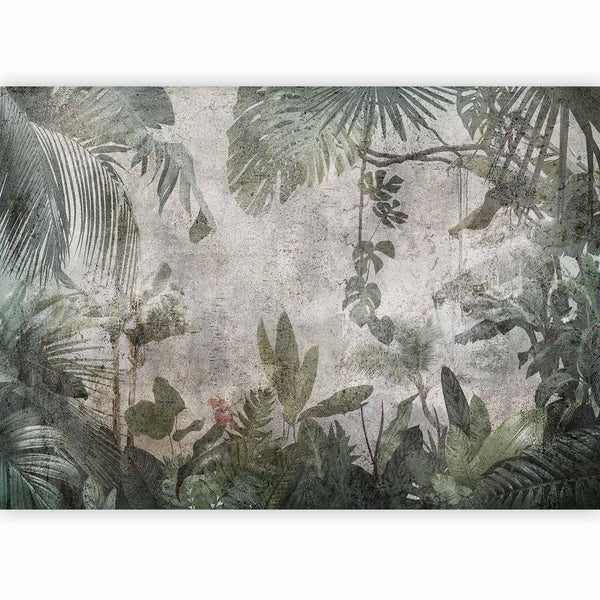 Carta da parati - Rain Forest in the Fog