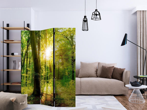 Paravento - Forest Rays