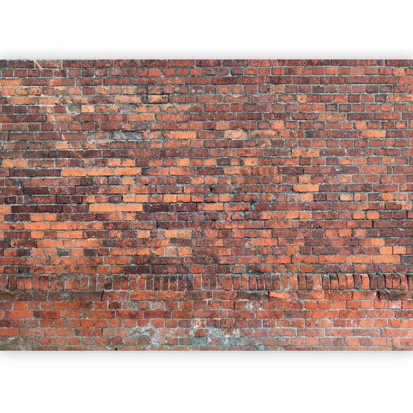 Carta da parati - Vintage Wall (Red Brick)