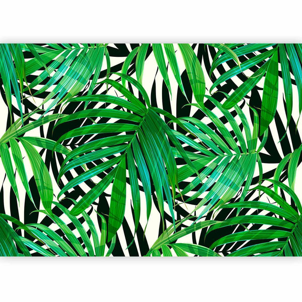 Carta da parati - Tropical Leaves