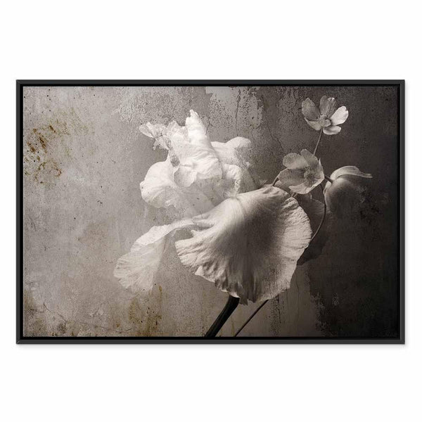 Quadro - Venetian Splendor (1 Part) Wide