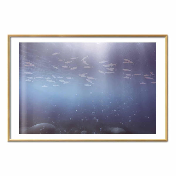 Poster - Fish in the Depths