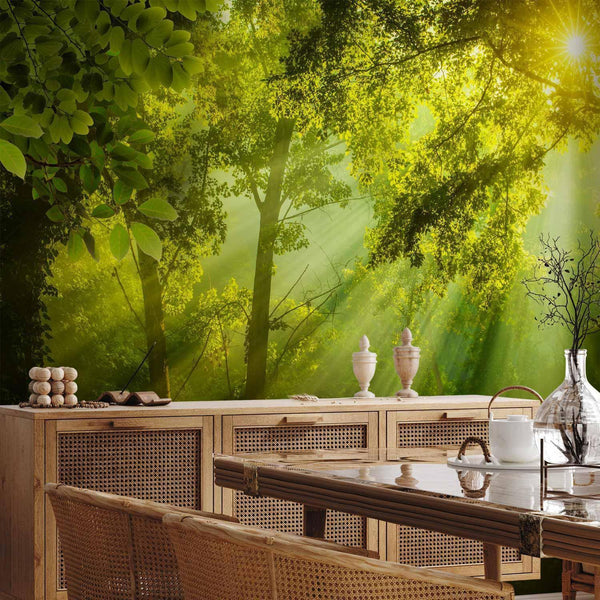 Carta da parati - In a Secret Forest