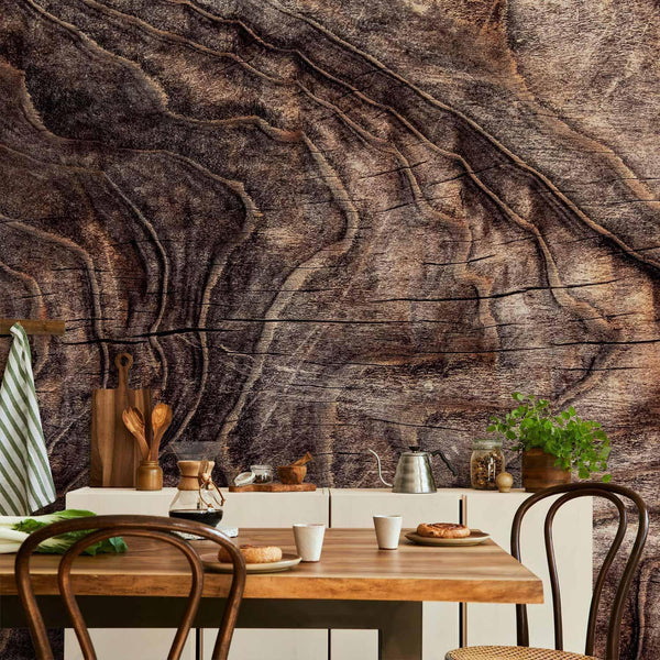 Carta da parati - Signs of the times - an abstract background with the wrinkled bark of an old tree