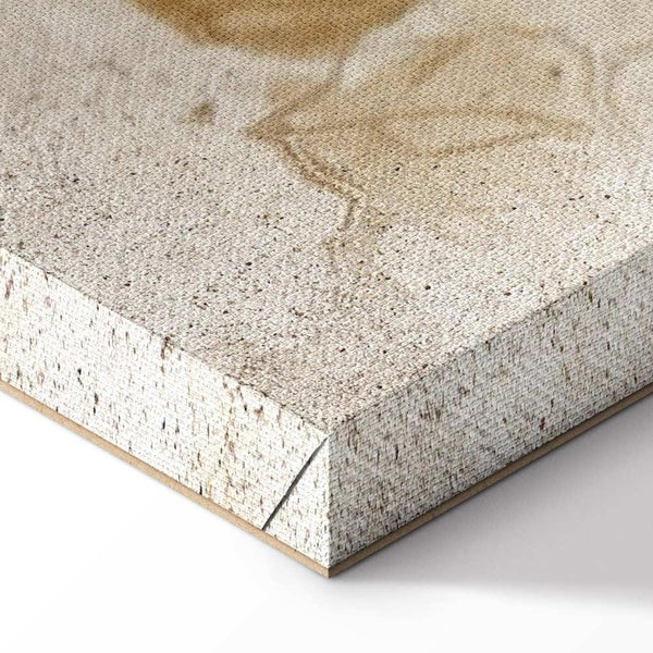 Quadro - Passing Moments (1 Part) Wide