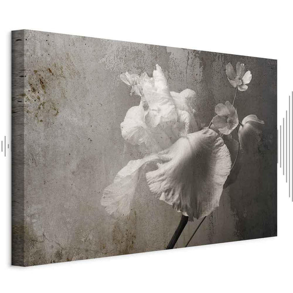Quadro - Venetian Splendor (1 Part) Wide
