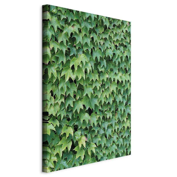 Quadro - Thick Ivy (1 Part) Vertical