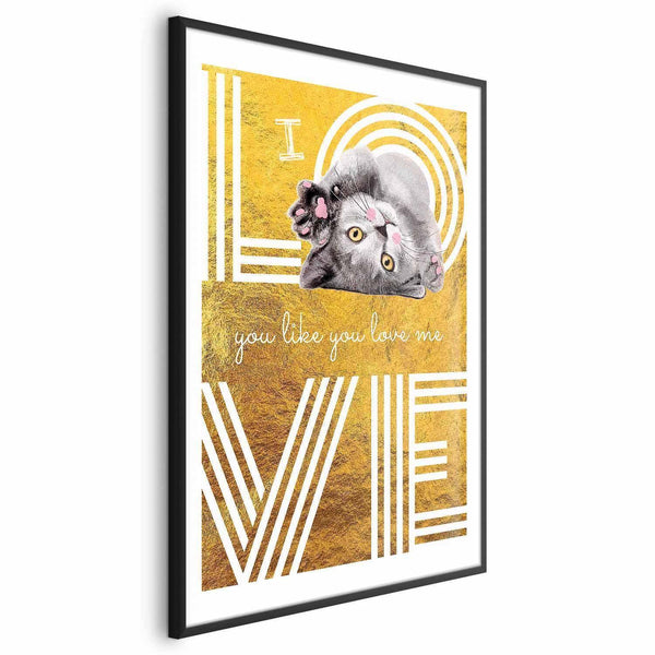 Poster - I Love You Like You Love Me