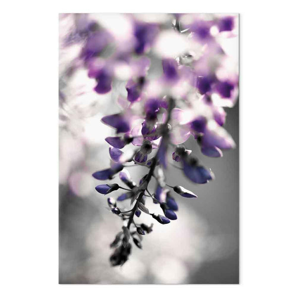 Quadro - Violet Ringtones (1 Part) Vertical