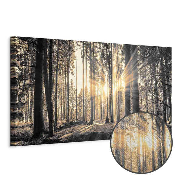 Quadro - Forest Sun