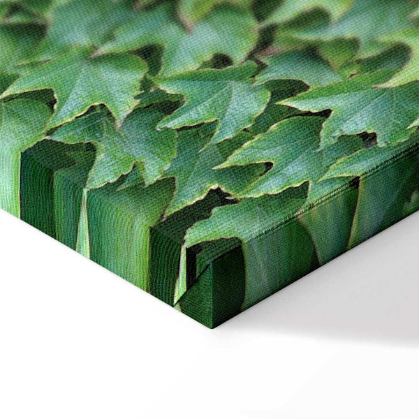 Quadro - Thick Ivy (1 Part) Vertical
