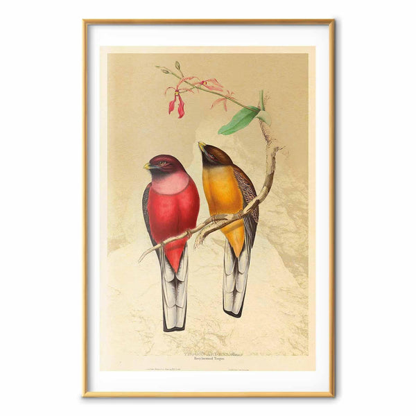 Poster - Birds on a Branch
