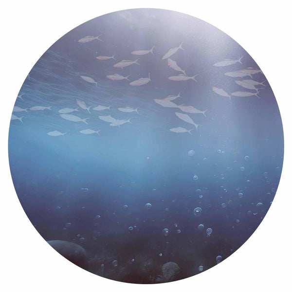 Carta da parati rotonda - Fish in the depths