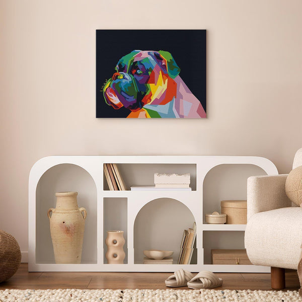 Quadro fai da te - Colourful Boxer