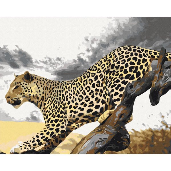 Quadro fai da te - Cheetah