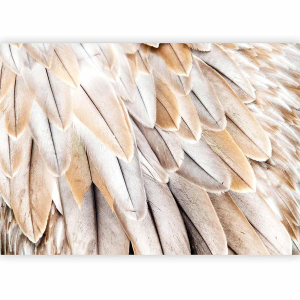 Carta da parati - Close-up of bird's wings - uniform close-up on beige bird feathers