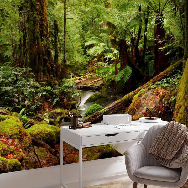 Carta da parati - Forest Brook