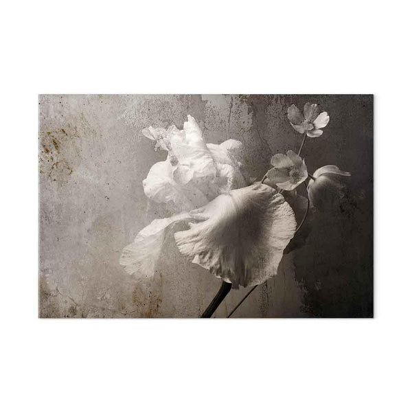 Quadro - Venetian Splendor (1 Part) Wide