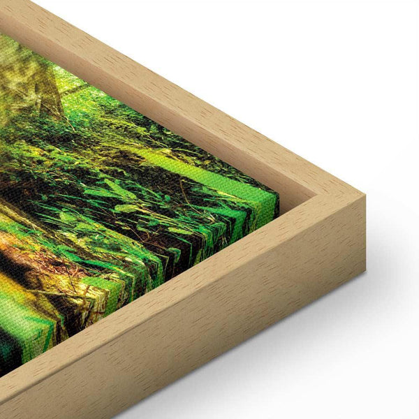 Quadro - A Jewel of Nature