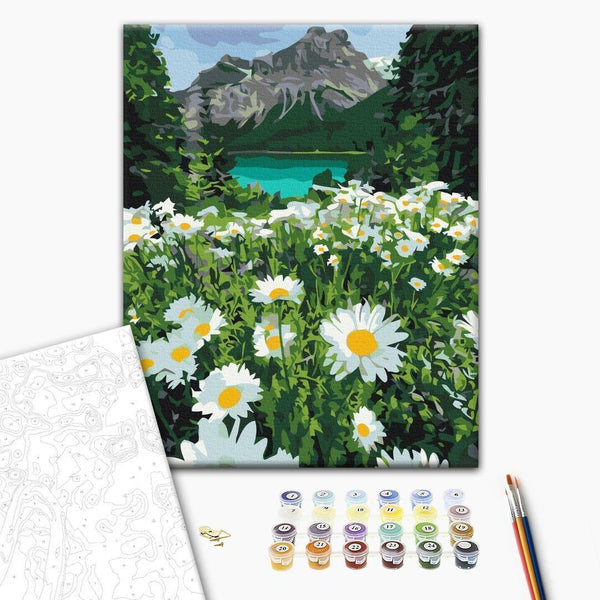 Quadro fai da te - Chamomiles in a mountain valley