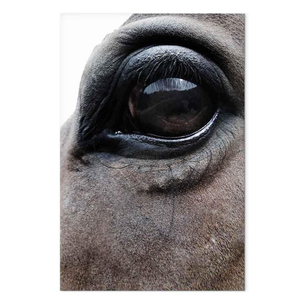 Quadro - Honest Eyes (1 Part) Vertical