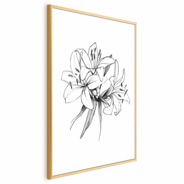 Poster - Drawn Flowers