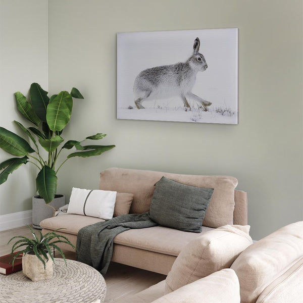 Quadro - Hare (1 Part) Wide