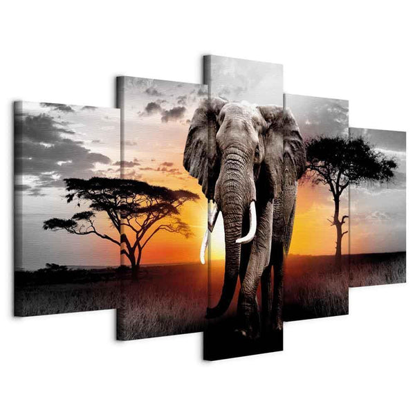 Quadro - Elephant at Sunset