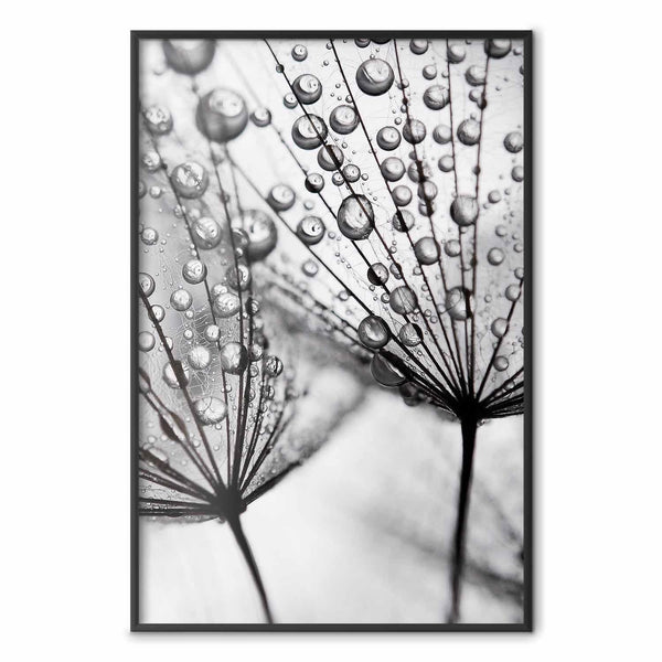 Poster - Macro Dew