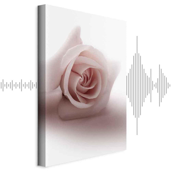 Quadro - Floral Glamour Glow (1-part) - Delicate and Pastel Pink Rose