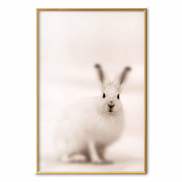 Poster - Fearful Look