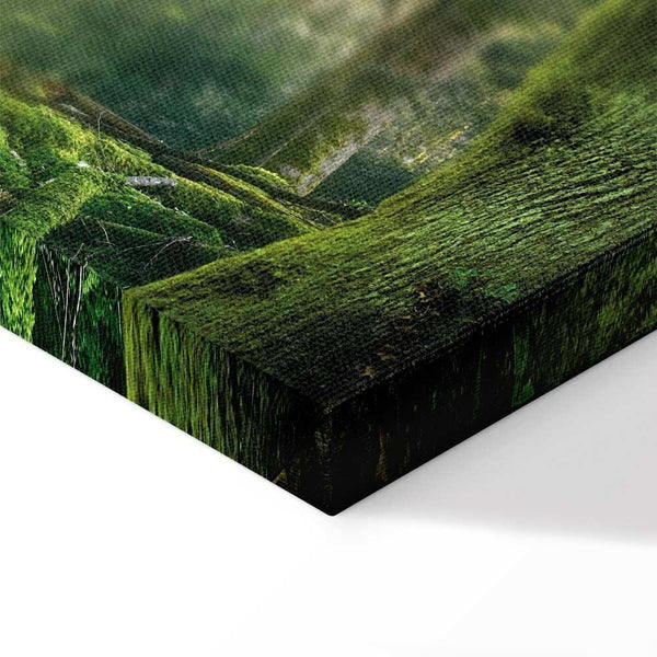 Quadro - The Beauty of the Forest