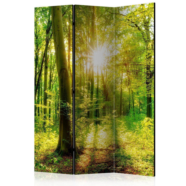 Paravento - Forest Rays