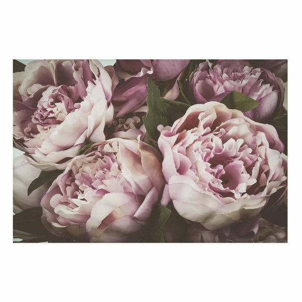 Poster - Pink Peonies