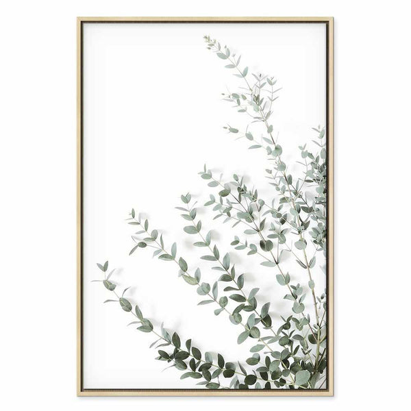 Quadro - Eucalyptus Parvifolia (1 Part) Vertical