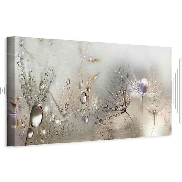 Quadro - Morning Song