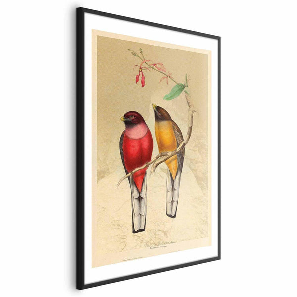 Poster - Birds on a Branch