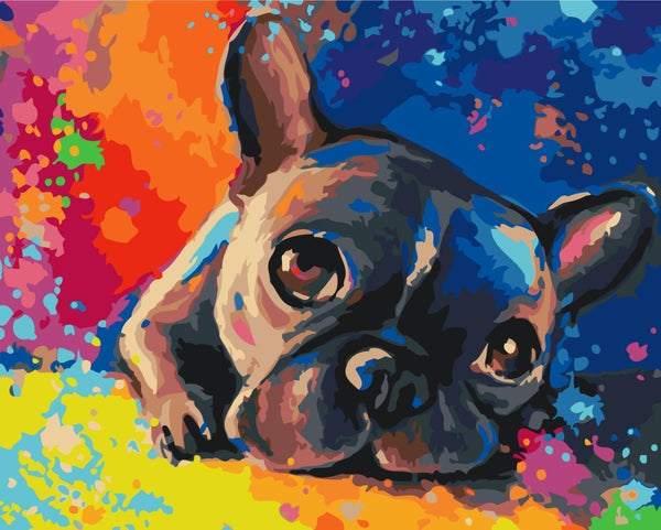 Quadro fai da te - Colourful French bulldog