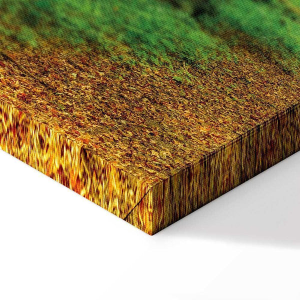 Quadro - Magic Forest