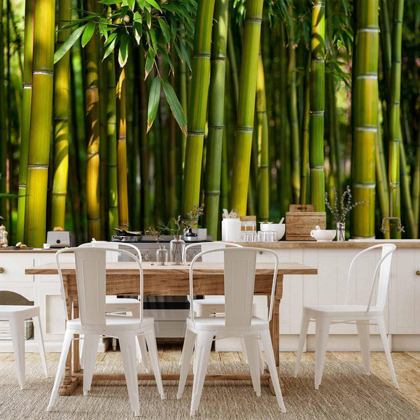 Carta da parati - Eucalyptus alley – bamboo grove in juicy green tone