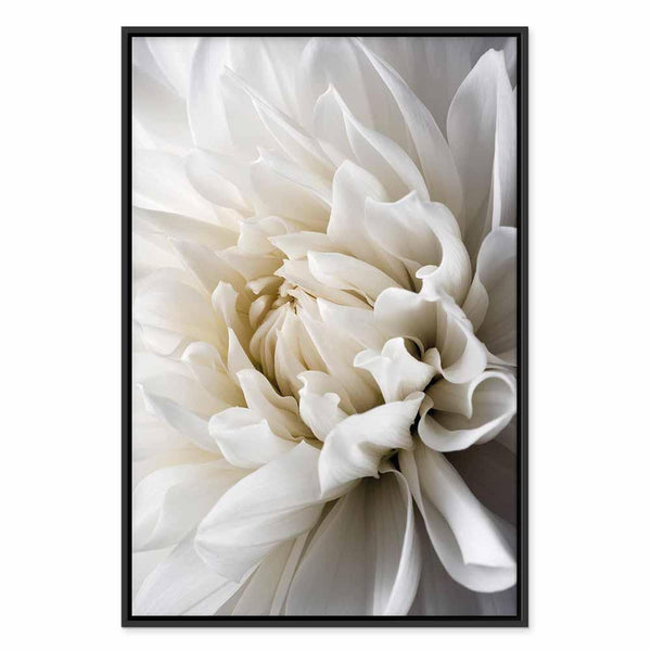 Quadro - White Dahlia