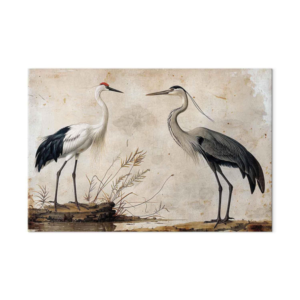 Quadro XXL - Birds from an old engraving - vintage-style illustration depicting a heron and a crane