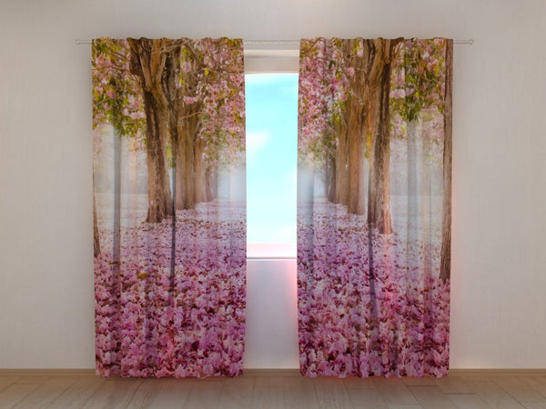 Foto Tende Vicolo di Magnolie